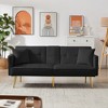 Racxily Velvet Futon Sofa Bed with Gold Metal Legs - 2 of 4