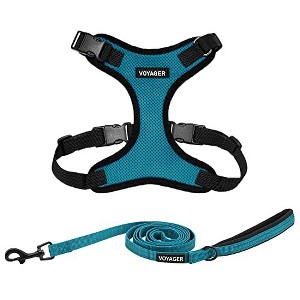 Voyager Step-In Lock Adjustable Dog & Cat Harness and 5ft Leash Combo - 1 of 4