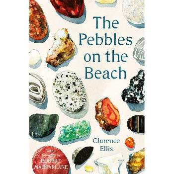 The Pebbles on the Beach - by  Clarence Ellis (Paperback)