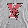 Men's York College Distressed Primary Logo Pull-Over Hoodie - 2 of 4