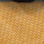 corn harvest yellow
