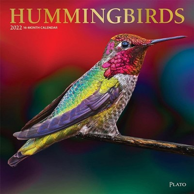 BrownTrout Publishers 2021 - 2022 Hummingbirds Monthly Wall Calendar, 16 Month, Nature Animals Birds Theme, 12 x 12 in