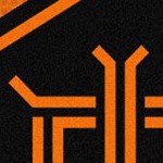 houston dynamo