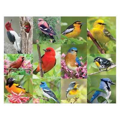 Springbok Birds Of A Feather Puzzle 500pc