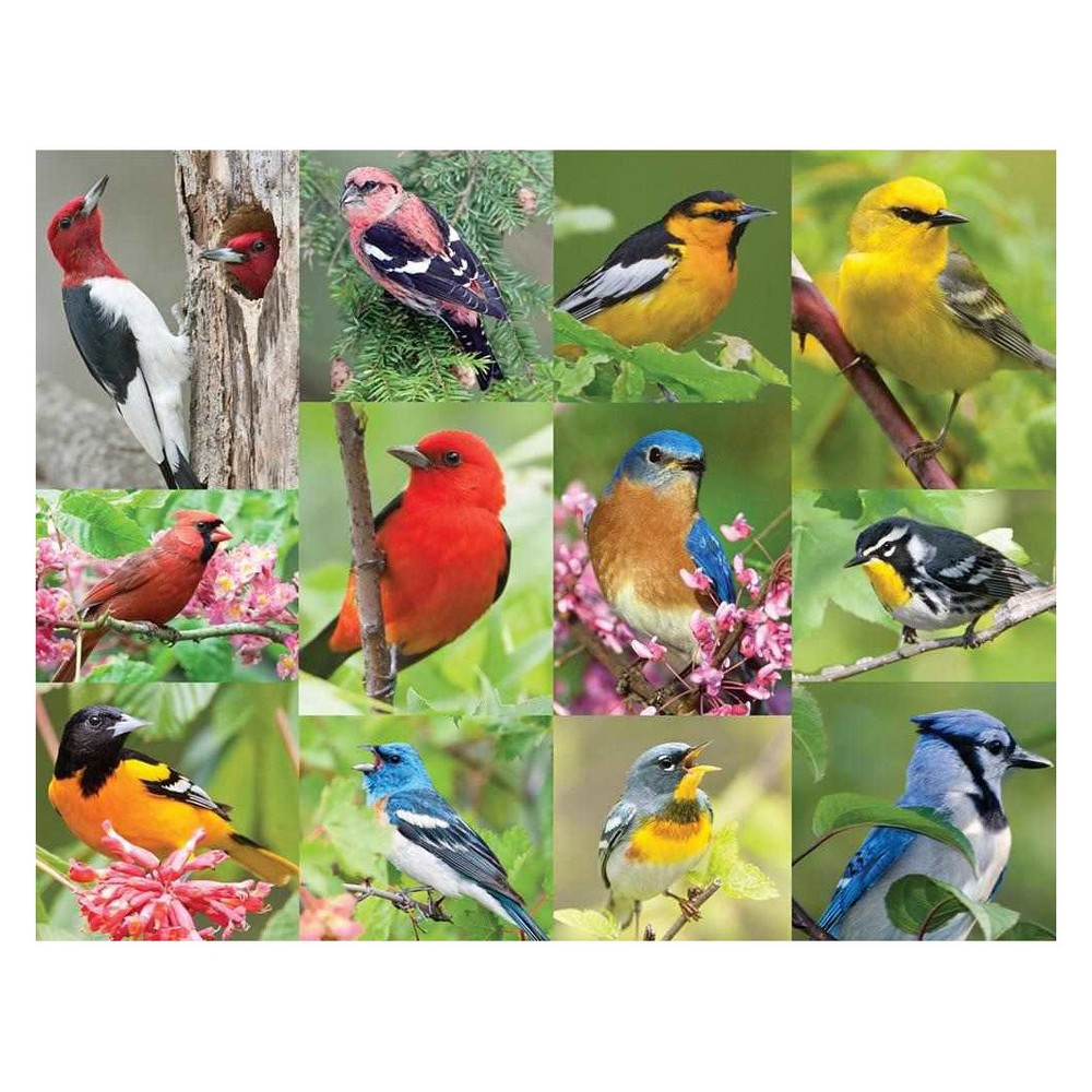 Photos - Jigsaw Puzzle / Mosaic Springbok Birds Of A Feather Puzzle 36pc 