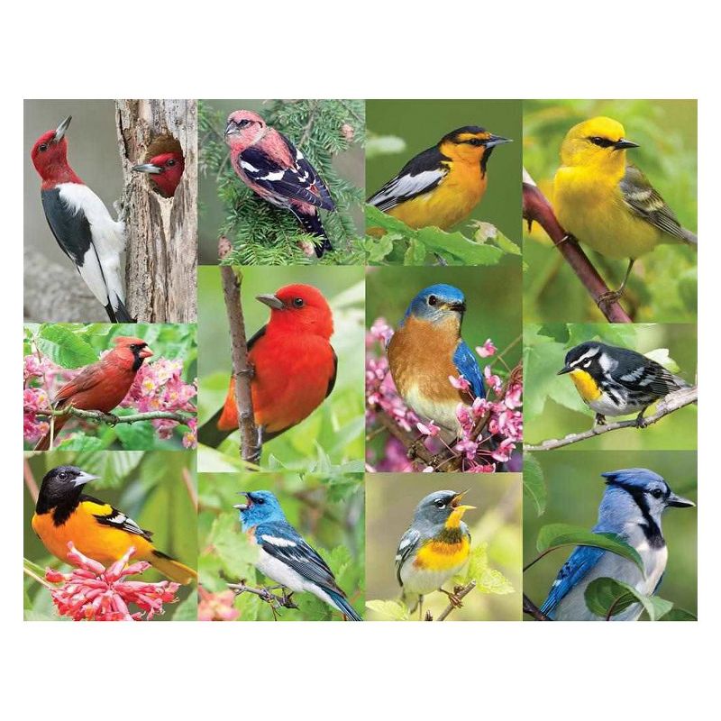 Springbok Birds Of A Feather Puzzle 36pc, 1 of 5