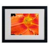 Trademark Fine Art - Kathie McCurdy 'Orange Day Lily' Matted Framed Art - 3 of 3