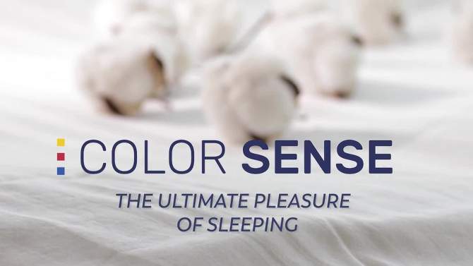 100% Cotton Percale Sheet Set - Color Sense, 2 of 11, play video