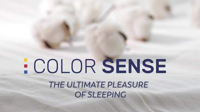 100% Cotton Percale Sheet Set - Color Sense, 2 of 7, play video