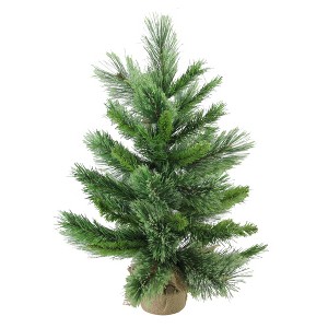 Northlight Potted Mixed Cashmere Pine Medium Artificial Christmas Tree - 2' - Unlit - 1 of 4