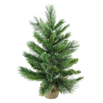 Northlight 2' Potted Mixed Cashmere Pine Medium Artificial Christmas Tree, Unlit