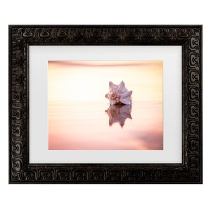 Trademark Fine Art - Chris Moyer King of the Beach Matted Framed Art - 1 of 4