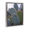 Stupell Industries Prickly Cactus Thorns Close Up Photography Desert Vegetation Floating Frame Canvas Art, Gray, 25" x 31" - 2 of 4