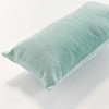 Plum & Post Suri Lumbar Indoor-Outdoor Pillow - 3 of 4