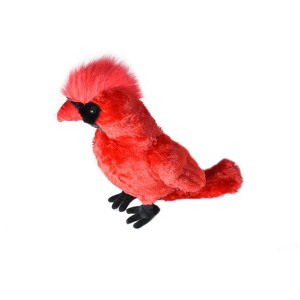 Collectible Wildlife Gifts | Cardinal, Bird, Northen, Cardinal-grosbeaks, Realistic, Lifelike, Stuffed, Bird, Soft, Plush Animal,    20 - 1 of 1