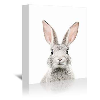 Americanflat Animal Bunny Face By Sisi And Seb Unframed Canvas Wall Art