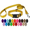 Country Brook Petz Deluxe Nylon Dog Collar and Leash - 2 of 4