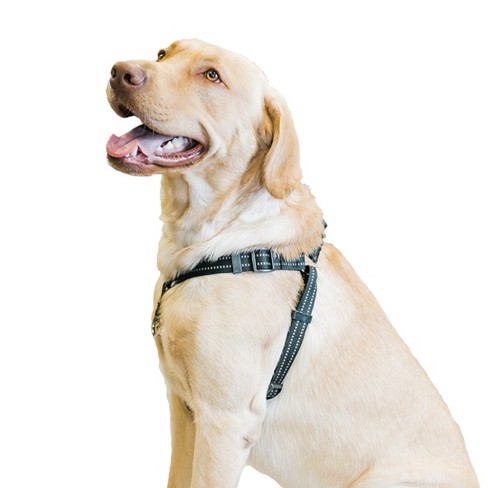 Step through dog on sale harness