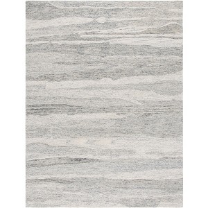 Ebony EBN221 Hand Tufted Indoor Rugs - Safavieh - 1 of 4