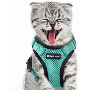 rabbitgoo Cat Harness for Walking, Escape Proof for Small Medium Cats, Adjustable Vest Harnesses, Small Cats  Metal Leash Ring - 1 of 1