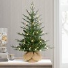 Puleo 3' Pre-Lit Artificial Christmas Tree in Burlap Sac Base - 2 of 4