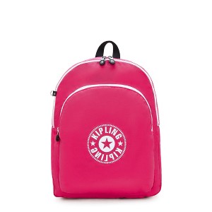 Kipling Curtis Large 17" Laptop Backpack - 1 of 4