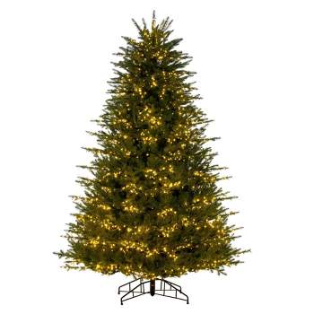 Vickerman 10' x 73" Georgian Fraser Fir Artificial Pre-Lit Christmas Tree with Folding Metal Tree Stand