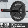 Synergee Standard Metal Weight Plates - 4 of 4