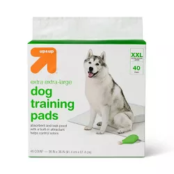 Puppy & Adult Dog Training Pads - 40ct - XXL - up & up™