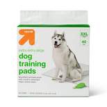 Puppy & Adult Dog Training Pads - 40ct - XXL - up & up™