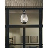 Acclaim Lighting Lanai 3 - Light Pendant in  Matte Black - 4 of 4