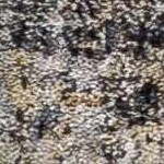 beige, taupe, gray, dark brown, medium brown