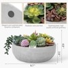 BRINJOY Mixed Artificial Succulent Arrangement | Low-Profile Gray Concrete Planter for Desk, Counter, Shelf & Window Sill Decor - 2 of 4