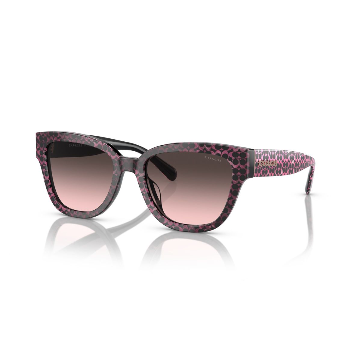 Coach HC8379U 54mm Female Butterfly Sunglasses - thumbnail 7