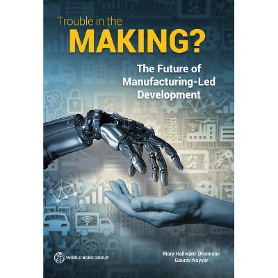 Trouble in the Making? - by  Mary Hallward-Driemeier & Gaurav Nayyar (Paperback)