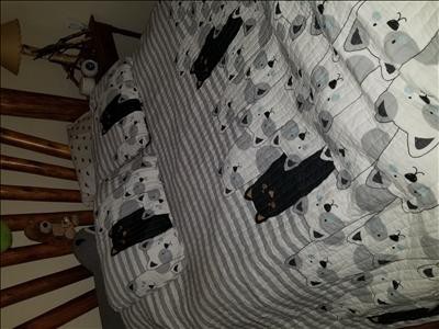 Guest review image 2 of 4, zoom in