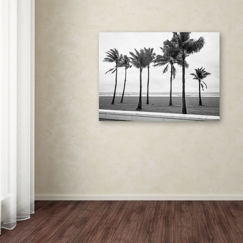 Trademark Fine Art -Preston 'Florida BW Beach Palms' Canvas Art, 3 of 4