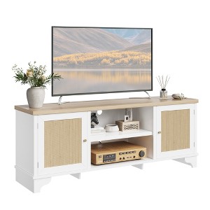 MDF+Rattan Dual Door TV Cabinet with Deer Foot Shaped Cabinet, Stylish Storage Solution, Durable Construction, Elegant Design - 1 of 4