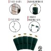 Perfect Holiday 70 LED Indoor/Outdoor Wide Angle 5MM LED Green Cable Christmas String Lights - Warm White - 3 of 4