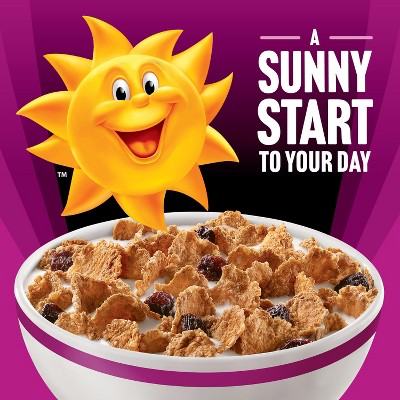 Kellogg's Raisin Bran Protein Breakfast Cereal - 17.3oz