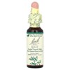 Bach Original Flower Remedies, Holly, 0.35 fl oz (10 ml) - 3 of 4