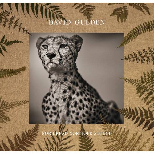 David Gulden: Nor Dread Nor Hope Attend - (Hardcover)