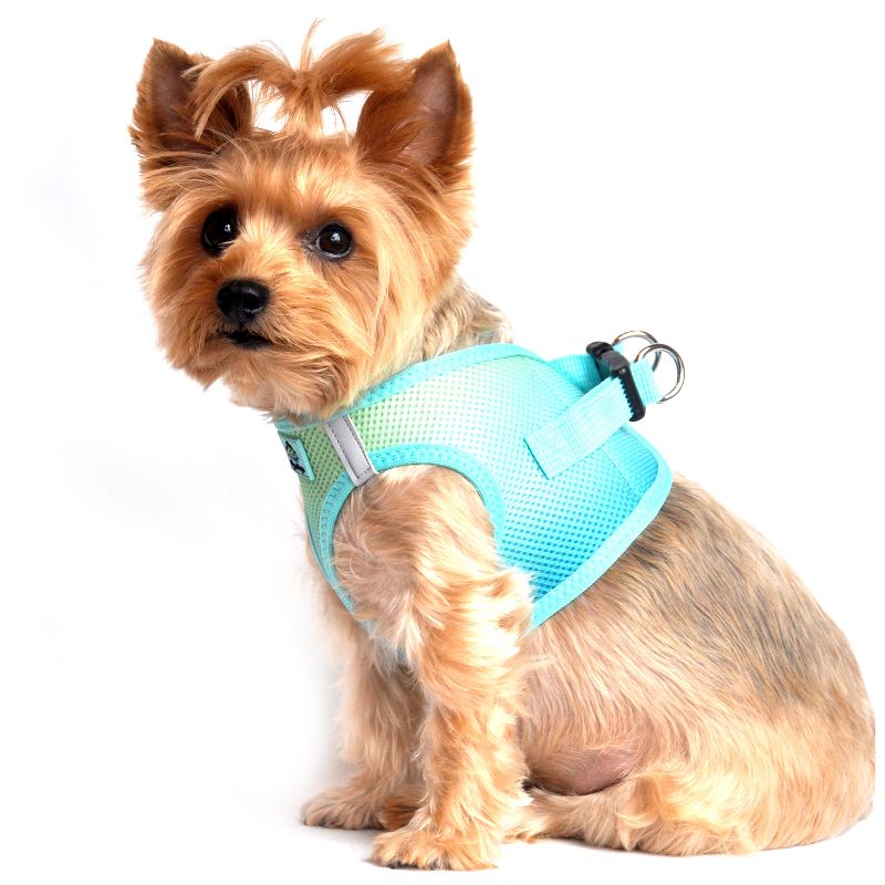 Doggie Design American River Choke Free Dog Harness Ombre Collection-Aruba Blue, 4 of 6