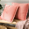 TOWN & COUNTRY EVERYDAY Rio Solid Fringe Indoor Outdoor Decorative Pillow, 2-Pack Set - 3 of 4