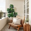 Fiddle Leaf Fig Tree Artificial, Realistic Faux Ficus Trees Planter Pot, Indoor Fake Floor Plants - 3 of 4
