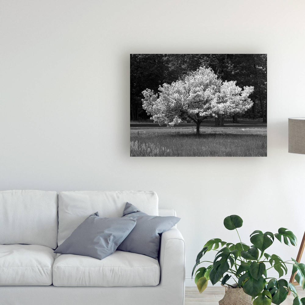 Photos - Other Decoration 18" x 24" Cherry Blossom Michigan by Monte Nagler - Trademark Fine Art: Digital Landscape Canvas, Unframed Wall Decor