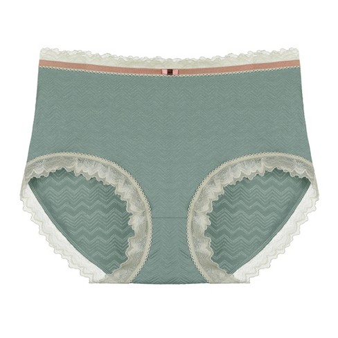 Agnes Orinda Women's High Waist Lace Trim Plus Size Cotton Brief Underwear  Panty Panties Light Blue Small : Target