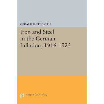 Iron and Steel in the German Inflation, 1916-1923 - (Princeton Legacy Library) by  Gerald D Feldman (Paperback)