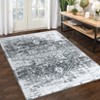 Machine Washable Area Rug Low Pile Vintage Ultra-Thin Non Slip Non Shedding Rugs Stain Resistant Foldable Indoor Carpet for Living Room Bedroom - 4 of 4