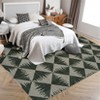 Acekool Area Rugs: Washable Non-Slip Modern Geometric Carpet, Soft Low Pile Stain Resistant Rugs for Living Room, Bedroom, Home, Dining Room - 3 of 4